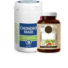 Vitaminok &eacute;s gy&oacute;gyszerek kuty&aacute;knak