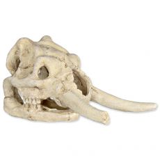 Állat koponya - akvárium dísz, mamut
