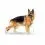 ROYAL CANIN N&Eacute;MET JUH&Aacute;SZKUTYA 11 kg