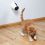 Macskajáték - mozgó lézerfény, 11 cm