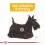 ROYAL CANIN Mini Dermacomfort 1 kg