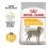 ROYAL CANIN MAXI Dermacomfort 12 kg