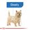ROYAL CANIN MINI Light Weight Care 1 kg