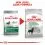 ROYAL CANIN MINI Digestive Care 8 kg