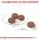 ROYAL CANIN MINI Digestive Care 8 kg