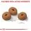 ROYAL CANIN MAXI Light Weight Care 12 kg