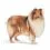 ROYAL CANIN MAXI Light Weight Care 12 kg