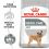 ROYAL CANIN Mini Dental Care kutyaeledel fogkőképződés csökkentésére 1 kg
