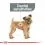 ROYAL CANIN Mini Dental Care kutyaeledel fogkők&eacute;pződ&eacute;s cs&ouml;kkent&eacute;s&eacute;re 1 kg