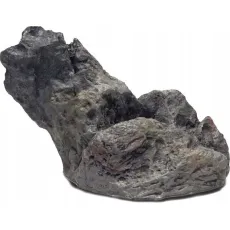 Akv&aacute;riumi k&ouml;vek