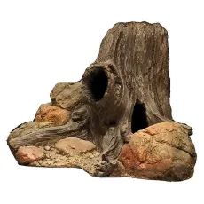 Gy&ouml;kerek &eacute;s f&aacute;k