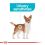 Royal Canin Mini Urinary Care kutyáknak a húgyutak egészségéért 1 kg