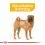 ROYAL CANIN Medium Dermacomfort 12 kg