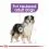 ROYAL CANIN Medium Sterilised 12 kg