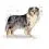 ROYAL CANIN Medium Sterilised 12 kg