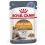 Royal Canin Hair & Skin Care Jelly tasakos eledel macsk&aacute;knak zsel&eacute;ben 12 x 85 g