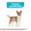 Royal Canin Mini Urinary Care kuty&aacute;knak a h&uacute;gyutak eg&eacute;szs&eacute;g&eacute;&eacute;rt 8 kg