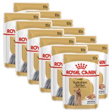 ROYAL CANIN ADULT YORKSHIRE 12 x 85 g - alutasak