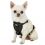 Kurgo Tru-Fit Smart Harness utazó kutyahám, fekete XS