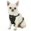 Kurgo Tru-Fit Smart Harness utaz&oacute; kutyah&aacute;m, fekete XS