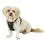 Kurgo Tru-Fit Smart Harness utaz&oacute; kutyah&aacute;m, fekete S