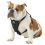 Kurgo Tru-Fit Smart Harness utazó kutyahám, fekete M