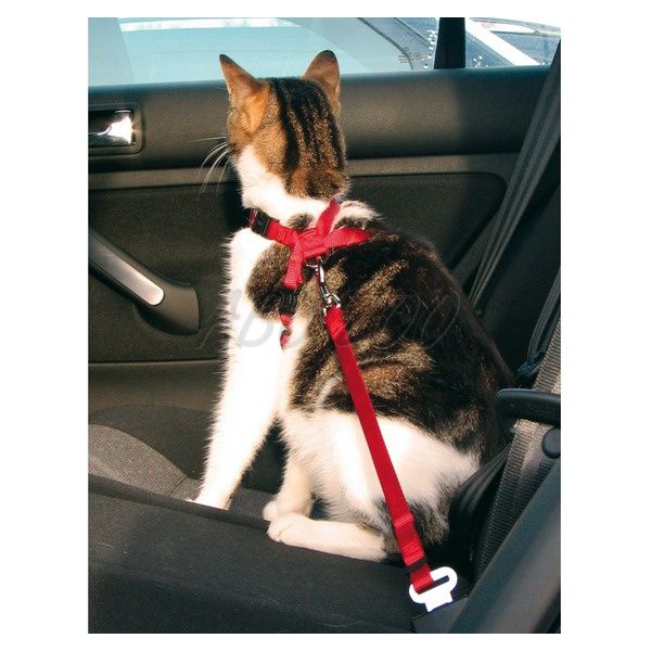 Biztonsági hám autóba macskáknak - 20 - 50 cm