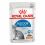 Royal Canin Indoor Sterilised In Gravy Pouch 24 x 85 g