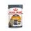 Royal Canin Hair & Skin Care Gravy alutasakos eledel 12 x 85 g