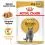 Royal Canin British Shorthair tasakos eledel l&eacute;ben brit r&ouml;vidszőrű macsk&aacute;knak 12 x 85 g