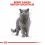 Royal Canin British Shorthair tasakos eledel lében brit rövidszőrű macskáknak 12 x 85 g