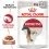 Royal Canin Instinctive Gravy tasak macsk&aacute;knak sz&oacute;szban 12 x 85 g