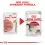 Royal Canin Instinctive Gravy tasak macsk&aacute;knak sz&oacute;szban 12 x 85 g