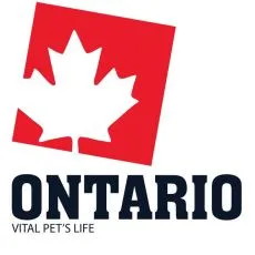 ONTARIO - Sz&aacute;raz macskat&aacute;p