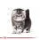 Royal Canin KITTEN PERSIAN - 2kg