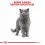 Royal Canin macskat&aacute;p brit r&ouml;vidszőrű macsk&aacute;knak 2 kg