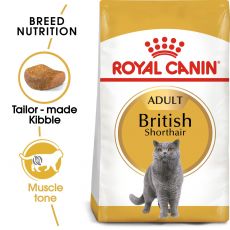 Royal Canin BRITISH SHORTHAIR 10 kg