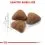 Royal Canin INDOOR 27 - macskaeledel bent &eacute;lő macsk&aacute;knak 4 kg