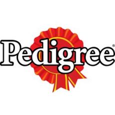 PEDIGREE - Száraz kutyatáp