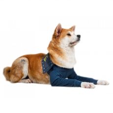 MPS Műtét utáni ing 2 mellső lábra XL kutyához