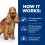 Hill's Prescription Diet Canine z/d AB+ 3 kg