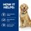 Hill's Prescription Diet Canine j/d 12kg