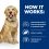 Hill's Prescription Diet Canine j/d 12kg