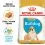 ROYAL CANIN ANGOL BULDOG PUPPY  - 12 kg