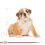ROYAL CANIN ANGOL BULDOG JUNIOR  - 12 kg