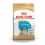 ROYAL CANIN ANGOL BULDOG JUNIOR  - 12 kg