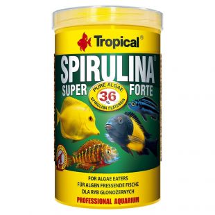 TROPICAL Spirulina Forte 36% 1000ml/200g