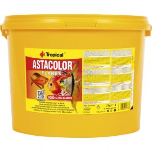 TROPICAL Astacolor 11 L / 2 kg színes diszkoszhalnak