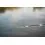 FOX RAGE Horg&aacute;szbot Street Fighter Rods Heavy shad 230cm/10-35g