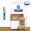 Hill's Prescription Diet Canine j/d 2 x 12kg